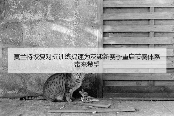 莫兰特恢复对抗训练提速为灰熊新赛季重启节奏体系带来希望