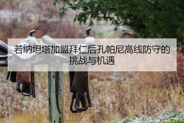 若纳坦塔加盟拜仁后孔帕尼高线防守的挑战与机遇